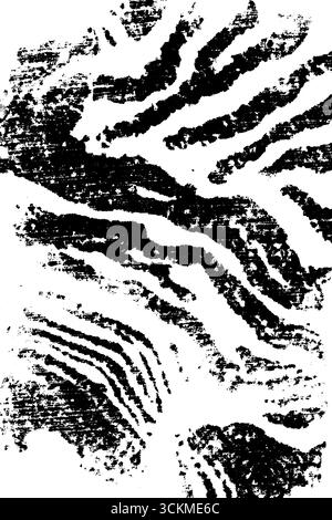 Abstrakte topografische Kartenlinien in Schwarz-weiß für ein strukturiertes Design. Stock Vektor