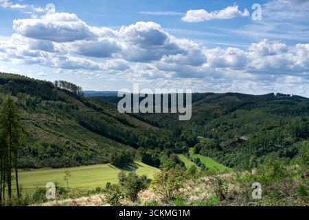 Malerische Landschaft mit sanften grünen Hügeln, bewaldeten Hängen und blauem Himmel mit Wolken, Panoramablick auf das Tal und den natürlichen Horizont. Stockfoto