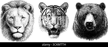 Detailgetreue Tierporträts von Löwen, Tiger und Bären für künstlerisches Design. Stock Vektor