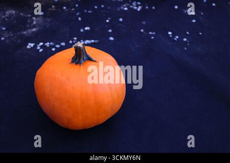 Einzelner Kürbis auf schwarzer Oberfläche – ein orangener Kürbis liegt isoliert auf dunklem Stoffhintergrund, minimales Stillleben im Herbst Stockfoto