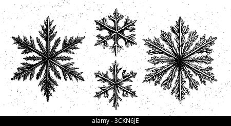 Komplizierte Schneeflockenmuster für winterliche Designprojekte und festliche Dekoration. Stock Vektor