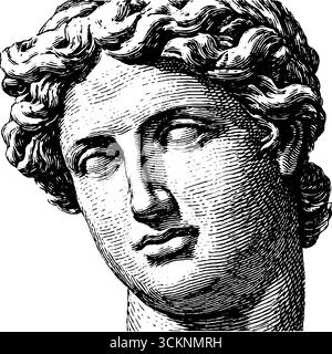 Gravierte Illustration des Kopfes der venus de milo - Inspiration für Design und Dekor der klassischen Kunst. Stock Vektor