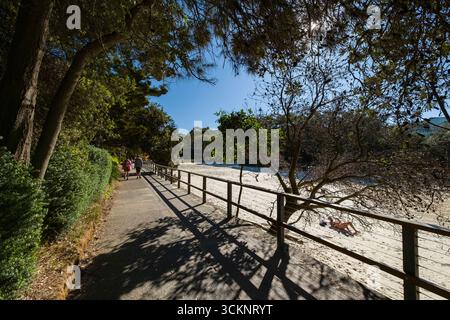 Strandpfad mit Bäumen an einem sonnigen Tag, mit Blick auf einen Sandstrand und Himmel, Clovelly Bay, Clovelly, Sydney, New South Wales, Australien Stockfoto