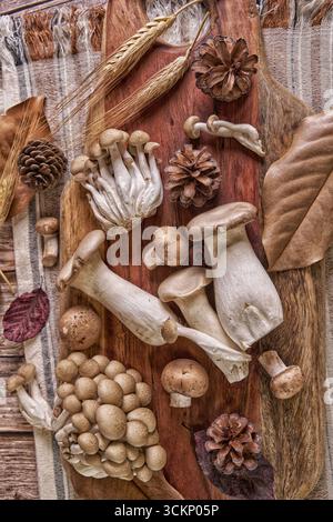 Kulinarische Flachlage aus Königsaustern, Shimeji und Pilzen auf einem rustikalen Holzbrett mit Tannenzapfen, Weizenstielen und saisonalen Blättern. Stockfoto