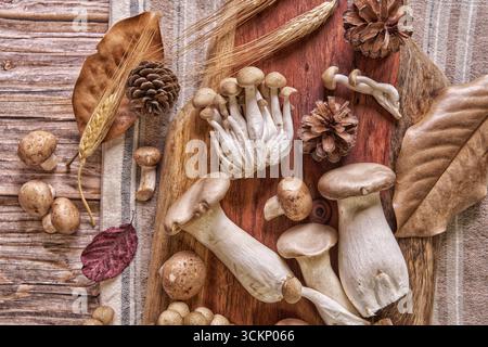 Kulinarische Flachlage aus Königsaustern, Shimeji und Pilzen auf einem rustikalen Holzbrett mit Tannenzapfen, Weizenstielen und saisonalen Blättern. Stockfoto