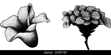 Hyper detaillierte Tusche Illustration von Blumen mit Halbtonstruktur. Stock Vektor