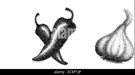 Sehr detaillierte Illustration von Chilischoten und Knoblauch. Stock Vektor