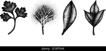 Hyper detaillierte Tusche Illustration von Blättern und Pflanzen für Design und Dekoration. Stock Vektor