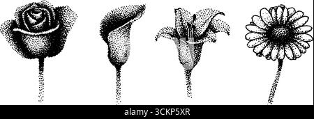 Detaillierte Blumenschmuck, einschließlich Rose und Lilie für Design und Dekor. Stock Vektor