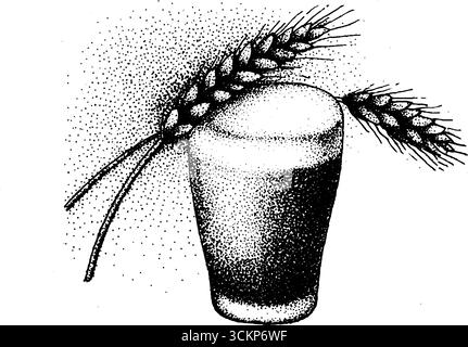 Hyper-detaillierte Tusche Illustration von Bierglas mit Weizen. Stock Vektor