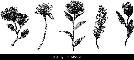 Hyper-detaillierte Tusche-Illustration botanischer Elemente. Stock Vektor