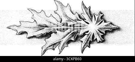 Elegante Schneeflocken-Drifting mit gepunktetem Trail für Wintermotive. Stock Vektor