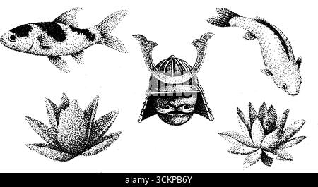 Kompliziertes Design mit Samurai-Helm, Koi-Fisch und Lotusblüten. Stock Vektor