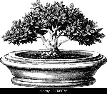 Bonsaibaum im minimalistischen Topf Dotwork-Tattoo-Design. Stock Vektor