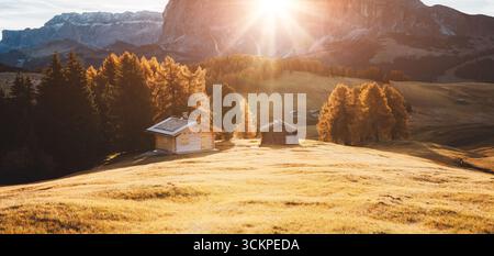 Schönes gelbes Feld im Sonnenlicht. Ungewöhnliche und wunderschöne Szene. Lage Ort Dolomiti, Dorf Compaccio, Seiser Alm oder Seiser Alm, Provinz Bolz Stockfoto