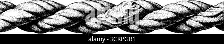 Komplizierte, verflochtene Seile mit verdrehten Fäden für nautisches und handwerkliches Design. Stock Vektor