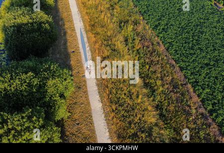 Aus der Vogelperspektive eines Radfahrers, der entlang eines Kanalpfads neben Ackerland fährt Stockfoto