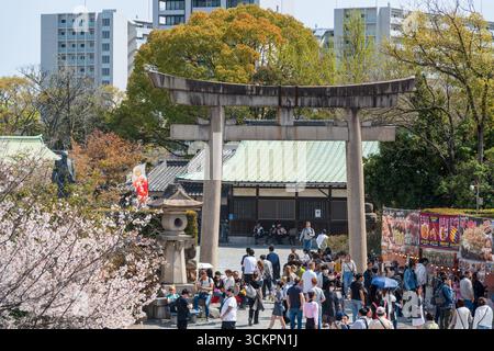 Während der Kirschblütensaison besuchen große Menschenmengen das steinerne Torii-Tor des Hokoku-Schreins im Osaka Castle Park. Osaka, Japan Stockfoto
