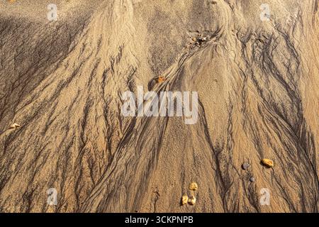 Schlangen von Algen an einem Sandstrand auf der Isle of Wight Stockfoto