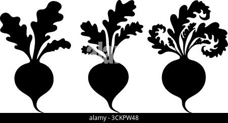 Kollektion mit Rote-Bete-Zwiebeln und -Blättern für Designprojekte. Stock Vektor