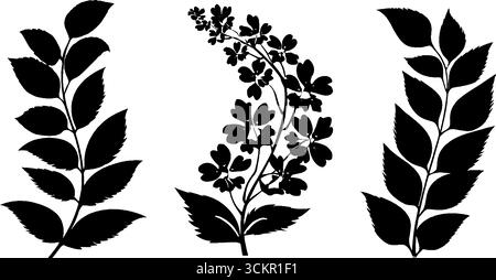 Elegante botanische Silhouetten und dekorative Spiralweben für Design. Stock Vektor