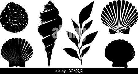 Nautische Elemente mit Spiralschalen und Blattmustern zum Basteln und Dekorieren. Stock Vektor