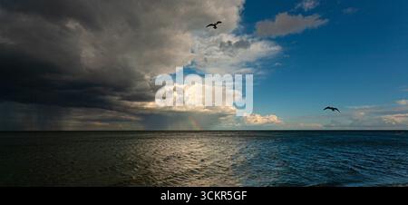 Zwei Möwen fliegen über einem riesigen Ozean mit dramatischen Wolken, Regen und einem Regenbogen im Hintergrund Stockfoto