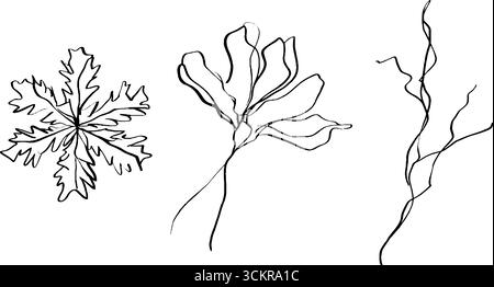 Elegantes Set mit Schneeflockenmuster für Wintermotive. Stock Vektor