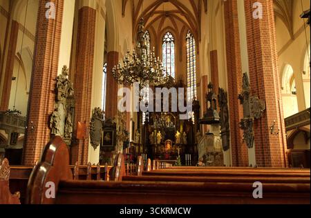 Allgemeiner Blick auf das Innere der Kathedrale der Heiligen Peter und Paul, Legnica, Sileasia, Polen. Stockfoto
