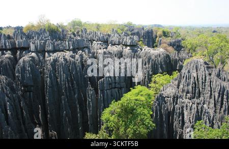 Dramatische Kalksteinspitzen im Nationalpark Tsingy de Bemaraha, Madagaskar, UNESCO-Weltkulturerbe, fotografiert im November. Stockfoto