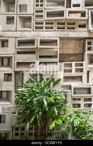 Ein innovatives architektonisches Wanddesign mit geometrischem Betonblockmuster, ergänzt durch üppiges grünes Laub. Stockfoto
