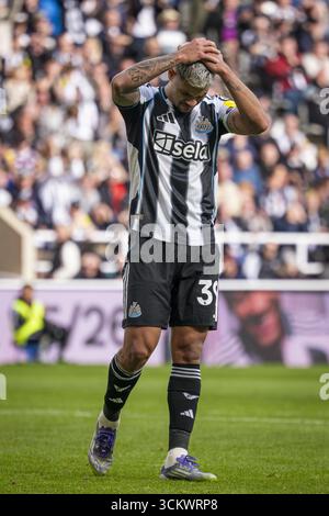 Newcastle upon Tyne, Großbritannien. September 2025. NEWCASTLE UPON TYNE, ENGLAND: Bruno Guimarães von Newcastle United reagiert am 13. September 2025 in Newcastle upon Tyne auf ein Spiel der Premier League 2025/26 zwischen Newcastle United und Wolverhampton Wanderers im St. James Park. Quelle: SPP Sport Pressefoto. /Alamy Live News Stockfoto