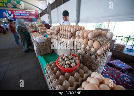 Ein Familienunternehmen, das Eier (Hühner und Wachteln) auf dem Chorsu-Markt in Taschkent, Usbekistan, verkauft. Stockfoto
