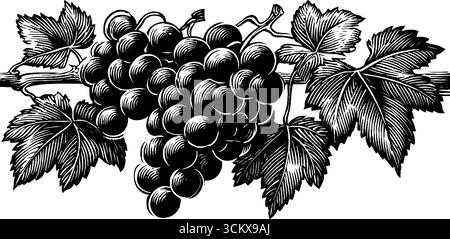 Schwarz-weiße Trauben auf Weinholzschnitt für Vintage-Kunst und -Druck. Stock Vektor