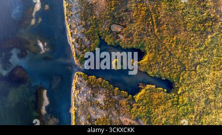 Marsch an der Küste des Mar Menor im Salzmarschgebiet von ​​El Carmolí, Cartagena, Region Murcia, Spanien Stockfoto