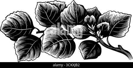 Detaillierte Haselnusszweige mit strukturierten runden Blättern auf schwarzem Hintergrund. Stock Vektor