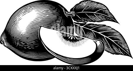 Einfarbige Mango mit geschnittenem Keil und Blättern - künstlerische Fruchtillustration für Designprojekte. Stock Vektor
