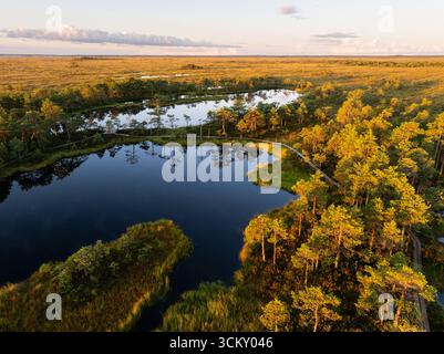 Atemberaubende Aussicht aus der Luft auf eine wunderschöne Estnische Moorlandschaft mit Seen und einer hölzernen Promenade bei einem goldenen Sonnenuntergang. Stockfoto