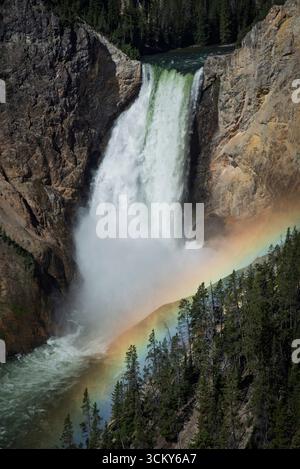 Lower Falls des Yellowstone River mit Regenbogen vom Lookout Point im Yellowstone National Park, Wyoming. Stockfoto