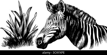 Zebra- und Grashüpfer-Silhouetten mit Zebrastreifen und Musterelementen. Stock Vektor