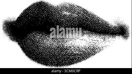 Vintage-anatomischer Schnitt von Hautschichten im Halbton-Grunge-Stil. Stock Vektor