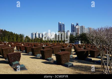 Busan, Südkorea: UN-Gedenkfriedhof Stockfoto