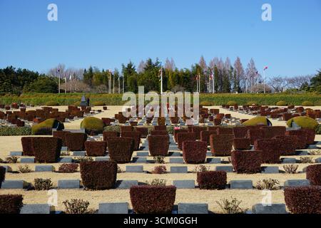 Busan, Südkorea: UN-Gedenkfriedhof Stockfoto