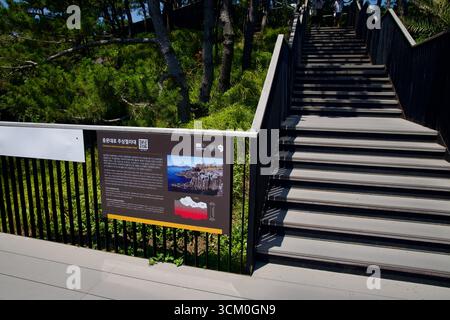 Die Hinweisschilder am Eingang zu den Daepo Jusangjeolli Cliffs erklären die geologische Bildung der Basaltsäulen. Stockfoto