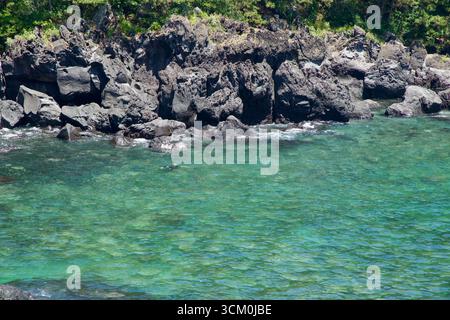 Dunkle Basaltformationen säumen das Ufer an den Daepo Jusangjeolli Cliffs, wo Wellen gegen die Felsen strömen und Kiefern dicht an der Küste stehen. Stockfoto