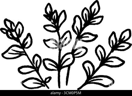 Handgezeichnete Skizze frischer Oregano-Stiele zur Kräuterdekoration und -Gestaltung. Stock Vektor