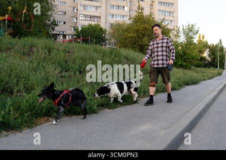 Ein Mann in karierten Hemden und Shorts geht mit zwei Hunden an der Leine in der Nähe von hohen Wohngebäuden, wobei ein Hund das Gras schnüffelt und der andere vorwärts fährt Stockfoto