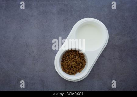 Frisches Haustierfutter, serviert in einem speziellen Gericht zu den Mahlzeiten Stockfoto