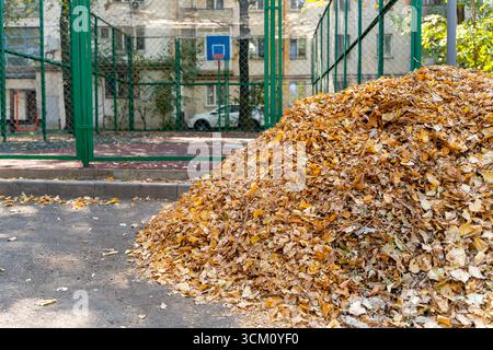 Großer Haufen trockener Herbstblätter neben dem städtischen Basketballfeld, umgeben von Wohnhäusern, die Herbstlaub in der Stadt reinigen Stockfoto