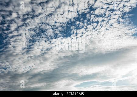 Verstreute Altocumulus-Wolken, die ein strukturiertes Muster über einem hellblauen Himmel bilden und eine weiche und luftige Wetterszene schaffen Stockfoto